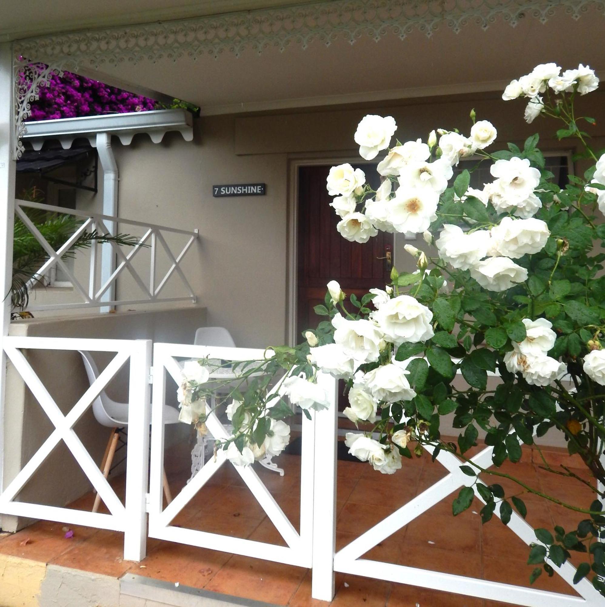 Longtom Farm Guesthouse Lydenburg Ngoại thất bức ảnh