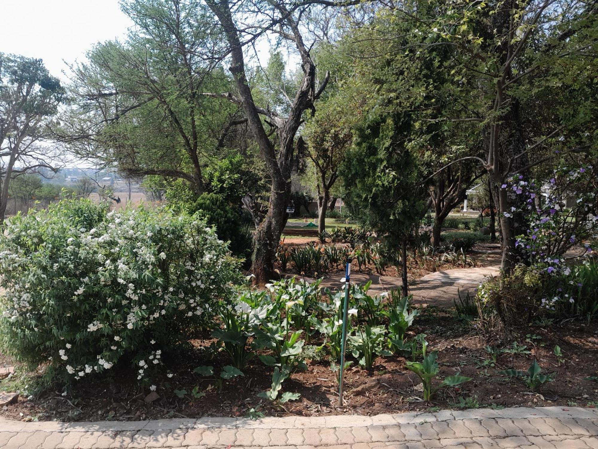 Longtom Farm Guesthouse Lydenburg Ngoại thất bức ảnh